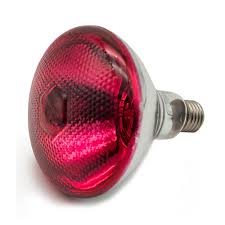 Get a dependable feit electric specialty bulb for all your general household and business. Fengrun Infrared Bulb Red Hard Explosion Proof Glass Infrared Heating Lamp For Chicken Pet Bathroom Warming Light Bulb Reptiles Amphibians Terrarium Heat Lamps Mats Biquinismaranata Com Br