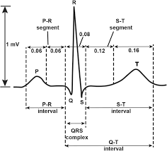 These blood pressure cuff monitors are certified and effective in use. Continuous Blood Pressure Monitoring As A Basis For Ambient Assisted Living Aal Review Of Methodologies And Devices Springerlink