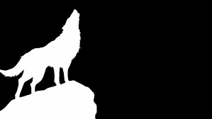 I have the recorder setup to record in game mode full screen with speaker and mic audio. Wolf Outline Black Background 2560x1440 Download Hd Wallpaper Wallpapertip