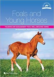 Pin On Horse Resource Library