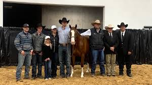 Mit anfang zwanzig heiratete sie einen amerikanischen soldat, mit dem sie nach amerika auswanderte. 2020 Ncha Futurity Sales Results Quarter Horse News