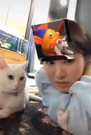 Youssef Doumit (youssefdoumit)