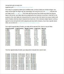 Fetal Weight Chart 7 Free Word Excel Pdf Documents