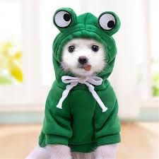Warm Dog Winter Clothes Cute Fruit Dog Coat Hoodies Fleece Pet Dogs Costume  Jacket for French Bulldog Chihuahua