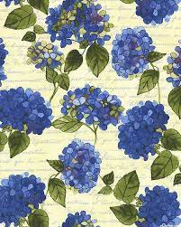 Heavenly Hydrangeas Flower Story Cream Hydrangea Flower Flowers Fabric