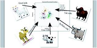 It is strong in flavor that may take some time to get used to. Analysis Of 17 Elements In Cow Goat Buffalo Yak And Camel Milk By Inductively Coupled Plasma Mass Spectrometry Icp Ms Rsc Advances Rsc Publishing