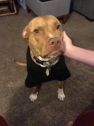 My baby Ginger just made 2 months day