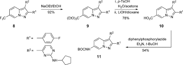 functional group interconversions an overview