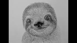 How To Draw A Sloth Easy Step By Step Youtube Sloth Drawing Sloth Drawings
