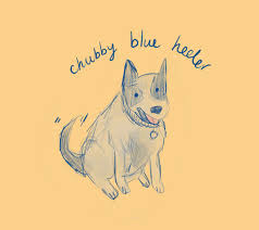Blue Heeler Illustration By Julia Chapman Illustrations Illustration Custom Illustration Blue Heeler