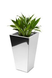 Mirrored Plant Pot Saksi Dekorasyon Desenler