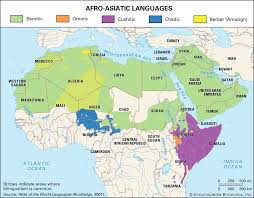 Image result for Afroligusticum