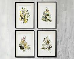 Botanical Print Set Of 7 Plant Art Set Of 7 Botanical Prints Dried Flowers Prints Pressed Flower Art Herbarium Flower Prints Wall Art Floral Framed Botanical Prints Pressed Flower Art Framed Floral Prints