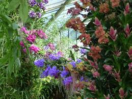 Your accommodation in london, what you need, where you need at the best price. 15 Photos Of The Fantastically Colourful Kew Gardens Orchid Festival 2019 Londonist