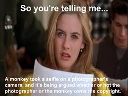 Ashtyn Young (@risd_ayoung)