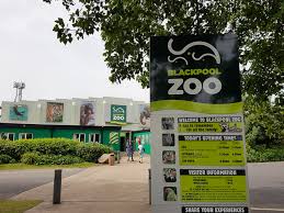 Explore Blackpool Zoo Eat Explore Etc