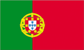 The lesser version of the national coat of arms (armillary sphere and portuguese shield). Portugal Courtesy Flag 12x18 In