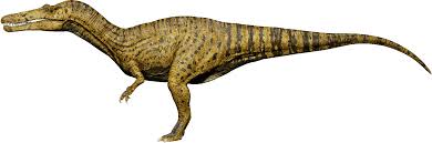 Image result for Suchomimus