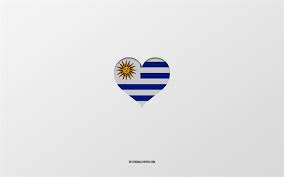 Flag of uruguay describes about several regimes, republic, monarchy, fascist corporate state, and communist people with country information, codes, time zones, design, and symbolic meaning. Download Wallpapers I Love Uruguay South America Countries Uruguay Gray Background Uruguay Flag Heart Favorite Country Love Uruguay For Desktop Free Pictures For Desktop Free