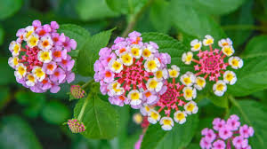 Gabriela García desnuda - memorable scenes just for you