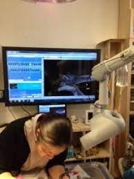 Paul pet hospital team in june 2019 as a veterinary assistant. Veterinary Services In South Saint Paul Mn South Saint Paul Animal Hospital