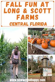 Guide to Great Scott Farms 2023: Best Corn Maze in Central Florida