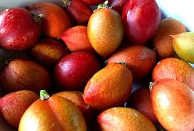 Maybe you would like to learn more about one of these? Tropical Taste Of Hawaii The Peculiar Peanut Butter Fruit Dengarden