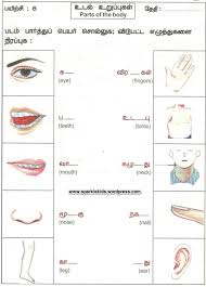 If you learn these words and sentences you may be able to express your thoughts, needs and feelings in tamil. Body Parts Tamil Name Of Body Parts Learn Body Parts My Body Song In 2016 Prathama Raghavan