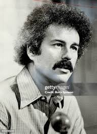 202 Bricklin Stock Photos, High-Res Pictures, and Images