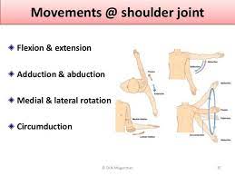 To train through each joint direction (flexion/extension adduction/abduction and… Movements Shoulder Joint Flexion Extension Adduction Abduction Medial Lateral Rotation Circumduction 35 C Dr N Shoulder Joint Lectures Notes Joint