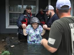 Image result for Harveya huillensis