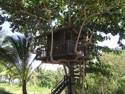 Pastikan pokok anda mendapat air yang tetap dengan meletakkannya di tempat yang. Ini Dia Rumah Atas Pokok Yang Baru Siap Dibina Maksimum Boleh 4 5 Orang Dewasa Tungku Beach Resort