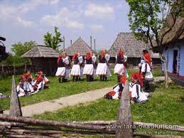 Maybe you would like to learn more about one of these? Tara Oasului