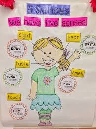 Kindergarten Smiles Five Senses Senses Preschool