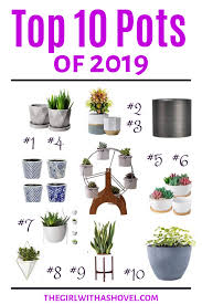 Check spelling or type a new query. Top 10 Trending Indoor Plant Pots The Girl With A Shovel House Plant Pots Indoor Plant Pots Plants