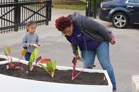 Jane Neil Elementary School Gets A Second Garden