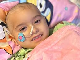 Fundraiser for Luis Roque by Vanessa Duarte : Join Us in Uplifting Allison  and Her Family