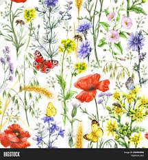 Scandinavian style cartoon floral texture. Hand Drawn Floral Image Photo Free Trial Bigstock