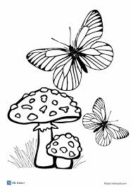 10 cute butterfly coloring page printables esl vault