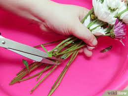 We did not find results for: How To Make Flower Food With Pictures Wikihow
