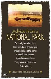 Advice From A National Park Yellowstone National Park Frameable Art Postcard National Parks Park Quotes Advice Quotes