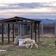 Get all your pet essentials right when you need them. Whar Wolf 35 Photos Animal Shelters 2325 Adobe Rd Paso Robles Ca Phone Number