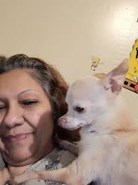 Remembering a beloved cockapoo pet that passed away