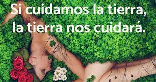 Pin En Frases Ambientales