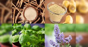 9 Foods That Help Balance Your Hormones The Times Of India