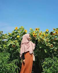 Kebun bunga matahari, pantan terong. Kebun Bunga Matahari Bantul Spot Selfie Baru Yang Ngehits Tempat Asik