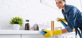 House Cleaning Tips Archives - Dust Busters