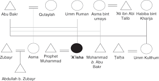 Ali and aisha meet for the first ever battle between muslims. Ê¿aÊ¾isha Bint Abu Bakr Battle Of The Camel Battle For Succession Chapter 2 The Unforgettable Queens Of Islam