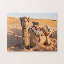 Where is the camel in the face puzzle. Camel Jigsaw Puzzles Zazzle