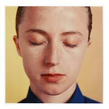 The Contemporary Art Collection of Francine & Benson Pilloff, Chapel Hill,  NC